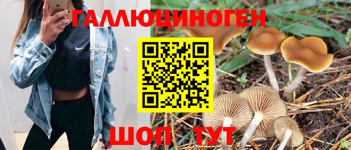 Псилоцибиновые грибы мицелий Кингисепп