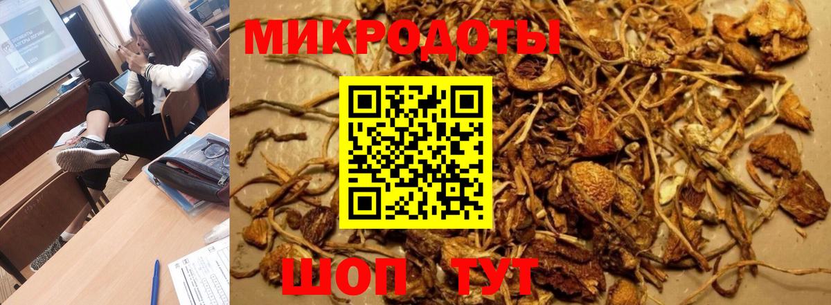 Кингисепп  наркота  Галлюциногенные грибы мухоморы  Вход с VPN  Галлюциногенные грибы Psilocybine cubensis 